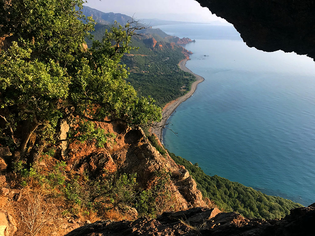Panorami